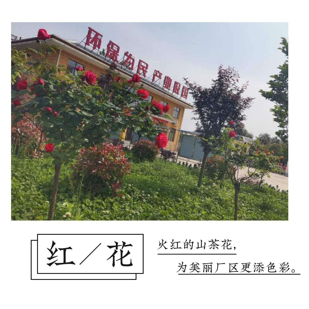 CG电子游戏(中国集团)官方网站