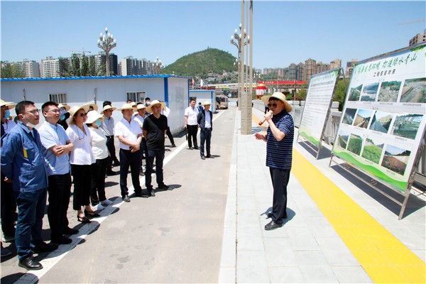 CG电子游戏集团复工复产促增添项目观摩聚会与会职员走进环保保隆生态三秦在延在铜项目