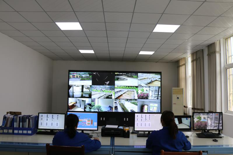 这个端午节，，，水情形人这么过（二）