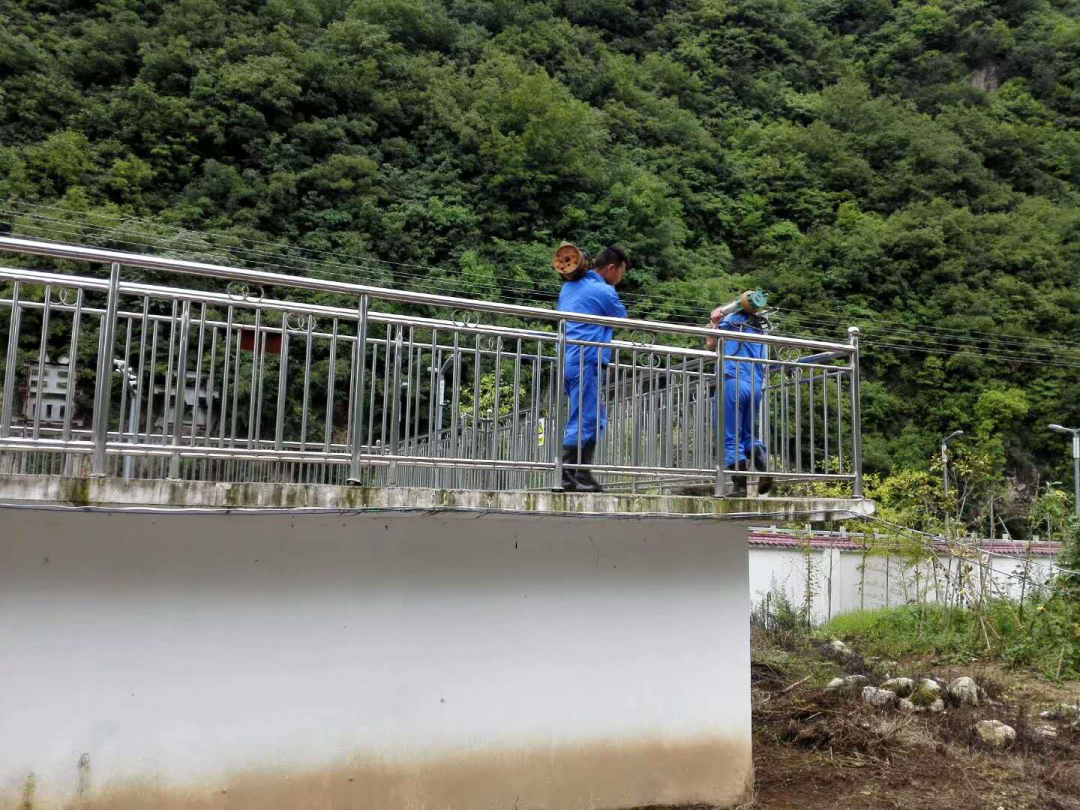 这个端午节，，，水情形人这么过（二）