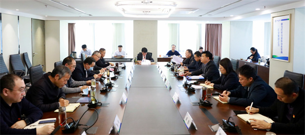 CG电子游戏集团党委理论学习中心组召开党史学习教育专题民主生涯会会前学习钻研会