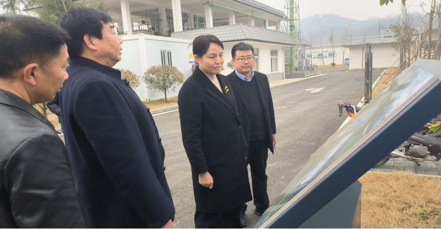 商南县县长刘华到水情形公司商南县污水处理厂调研
