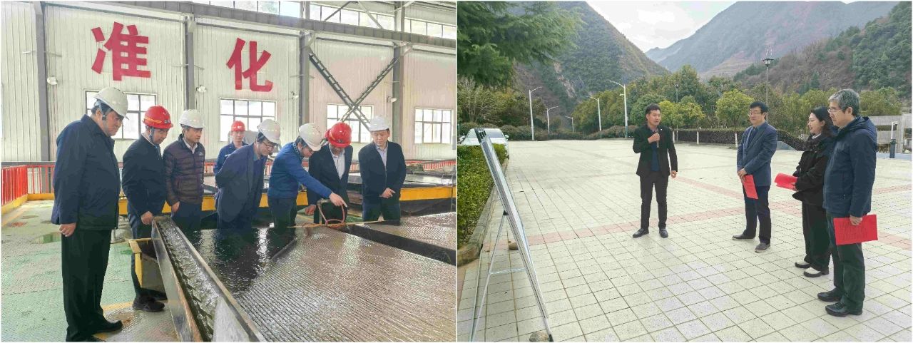 CG电子游戏集团外部董事赴鼎丰矿业公司、、水情形公司镇安污水处理厂调研指导事情